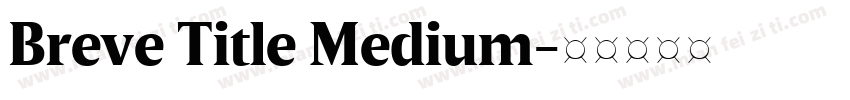 Breve Title Medium字体转换